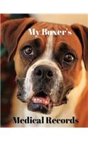 My Boxer's Medical Records