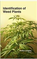 Identification of Weed Plants