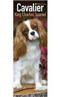 Cavalier King Charles Slim Calendar 2018 (Slim Standard)