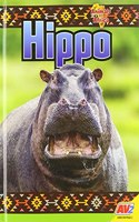 Hippo