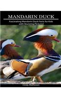 Mandarin Duck: Fascinating Mandarin Duck Facts for Kids with Stunning Pictures!