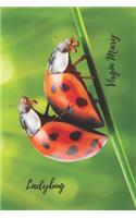Ladybug. Virgin Mary