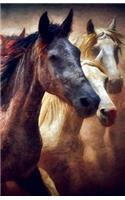 Journal Notebook For Horse Lovers - Running Wild