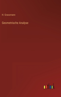 Geometrische Analyse