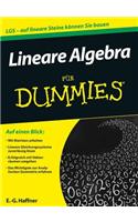 Lineare Algebra für Dummies