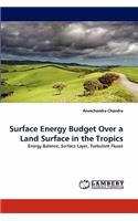Surface Energy Budget Over a Land Surface in the Tropics