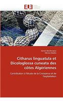 Citharus Linguatula Et Dicologlossa Cuneata Des Côtes Algériennes