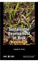 Sustainable Development at Risk: Ignoring the Past