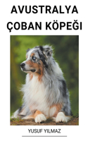 Avustralya Çoban Köpeği