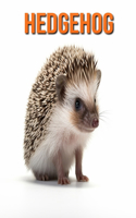 Hedgehog