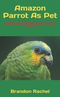 Amazon Parrot As Pet