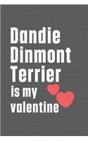 Dandie Dinmont Terrier is my valentine: For Dandie Dinmont Terrier Dog Fans