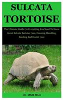 Sulcata Tortoise