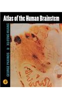 Atlas of the Human Brainstem