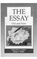 Essay