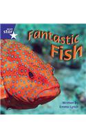 Star Phonics Phase 4: Fantastic Fish