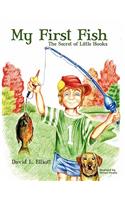My First Fish - The Secret of Little Hooks