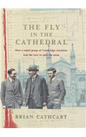 The Fly in the Cathedral