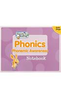 Phonics Notebook, Gold Stage: Phonemic Awareness