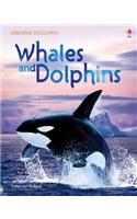 Whales and Dolphins