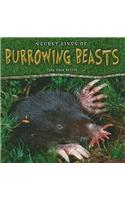 Secret Lives of Burrowing Beasts