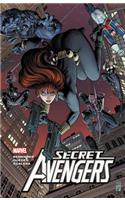 Secret Avengers