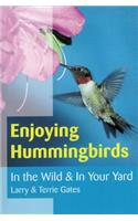 Enjoying Hummingbirds