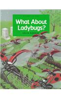 What about Ladybugs?