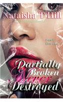 Partially Broken Never Destroyed
