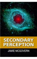 Secondary Perception