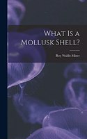 What is a Mollusk Shell?