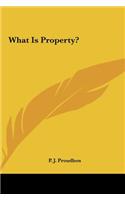What Is Property?