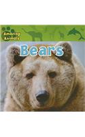 Bears