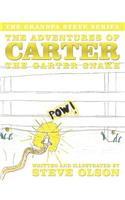 The Adventures of Carter the Garter Snake: The Grandpa Steve Series