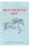 Brandywine Boy