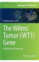 Wilms' Tumor (Wt1) Gene