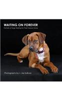 Waiting On Forever