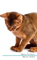 Abyssinian Cat Affirmations Workbook Abyssinian Cat Presents: Positive and Loving Affirmations Workbook. Includes: Mentoring Questions, Guidance, Supporting You.