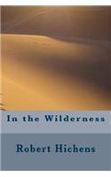 In the Wilderness