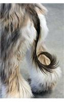 Afghan Hound: Artified Pets Dog Journal/Notebook/Diary