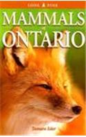 Mammals of Ontario