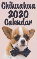Chihuahua Calendar 2020 - Dogs & Puppies - 12 Month Calendar: Monthly Wall or Desk Calendar for Chihuahua Breed Fans - Funny Quotes & Pictures