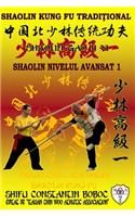 Shaolin Nivelul Avansat 1
