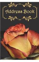 Big Address Book: (Rose Floral) 6" x 9" - For Record Contact, Email, Work, Bi: Address Book: Rose Contacts, Addresses, Phone Numbers, Emails & Birthday. Alphabetical (3 Address Book)
