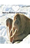 Walrus Mother And Young College Ruled Line Paper Composition Book: Walrus Fans, journals for notes, teachers, elementary, teachers