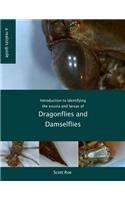 Introduction to Identifying the Exuvia and Larvae of Dragonflies