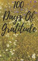 100 Days of Gratitude