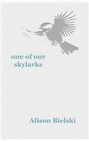 One of Our Skylarks