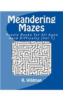 Meandering Mazes: Puzzle Books for All Ages - Hard Difficulty(1 Meandering Mazes - Hard)
