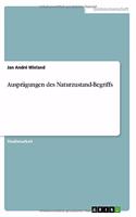 Ausprägungen des Naturzustand-Begriffs